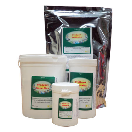 ProBoost SuperMax - Bird Care - Breeding Supplement - Breeding Supplies 