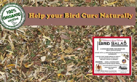 Avian Holistic Herbal Bird Salad - Organic and wildkrafted Herbs for Birds - Herbs and flowers - Bird Food - Lady Gouldian Finch Supplies USA