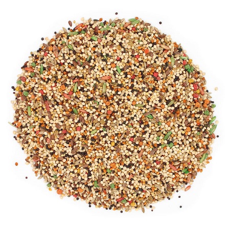 Sunseed Vita Finch Seed Mix - Finch Food - Seed -  Close Up Picture