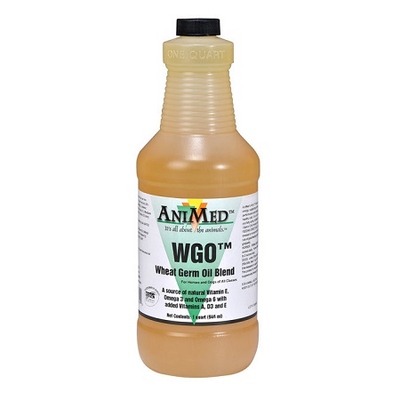 Wheat Germ Oil Blend - Breeding Supplies - Natural Breeding Supplement