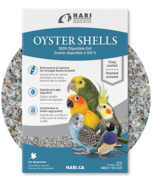 Oyster Shells - Hagen - 100% digestible grit for all pet birds - Calcium Supplements - Bird Supplies