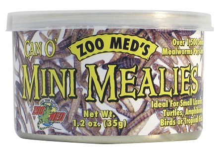 Mini Mealies convenient cooked mealworms for feeding reptiles and birds - Animal Protein - Food - Insectivorous